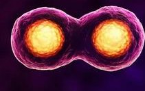 2026国内知名正规私立试管助孕机构名单！湘雅、山大生殖上榜