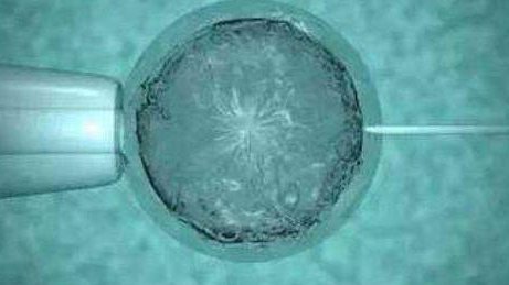 2026年中国三代试管婴儿优选医疗机构榜单揭晓